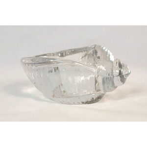 Conch Shell Clear Glass Heavy Votive Tea Light Holder Impressive Looking